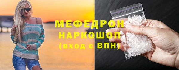 сатива Беломорск