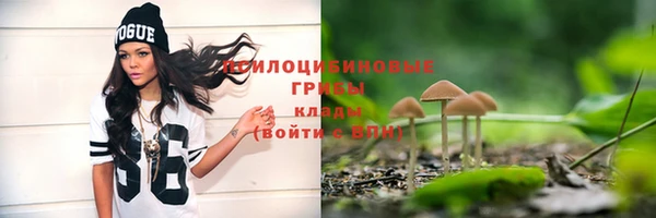 сатива Беломорск