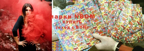 сатива Беломорск