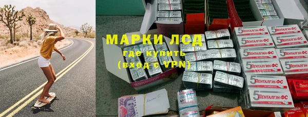 сатива Беломорск