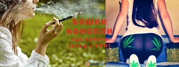сатива Беломорск