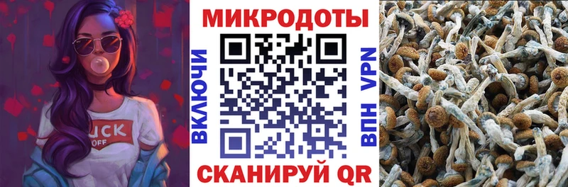 Псилоцибиновые грибы мицелий Вязьма