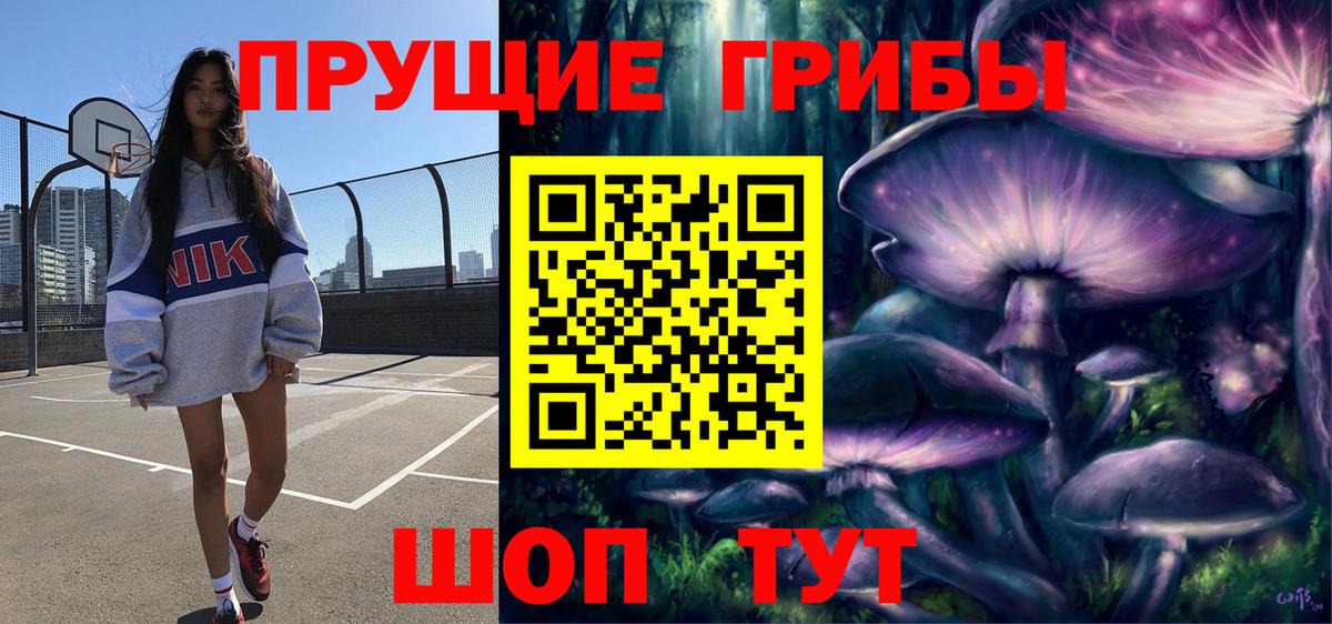 Галлюциногенные грибы MAGIC MUSHROOMS  цены наркотик  Галлюциногенные грибы ЛСД  Вязьма  Вход с VPN 
